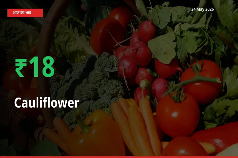 फूलगोभी 18.19% उछला, मंडी