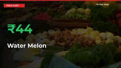 Water Melon Mandi Rate Today: Prices Jump 44.01% at Market