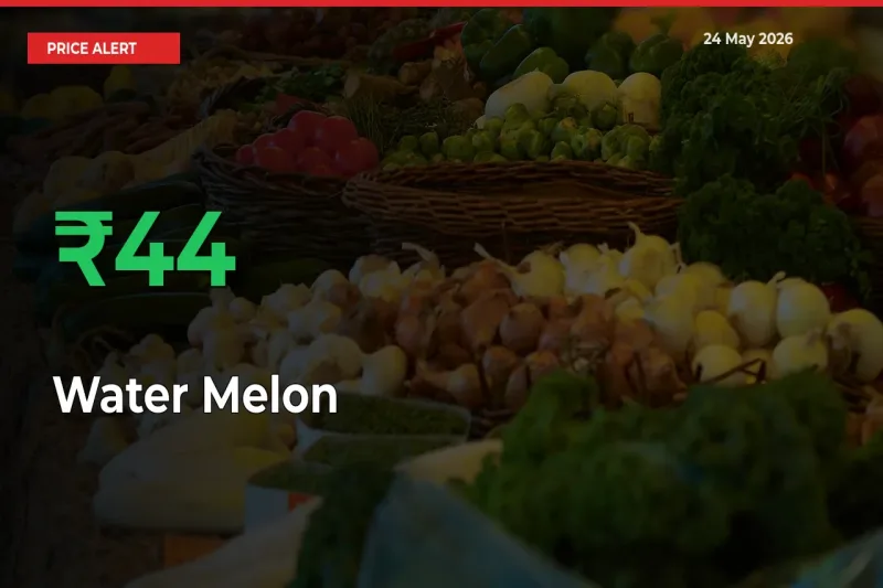 Water Melon Mandi Rate Today: Prices Jump 44.01% at Market