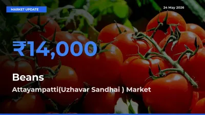 Attayampatti(Uzhavar Sandhai ) Tops Beans Rates – May 24 Market Update