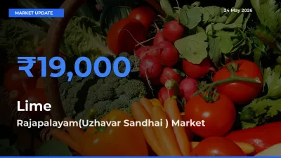 Lime Mandi Rate Today: Rajapalayam(Uzhavar Sandhai ) Tops the List