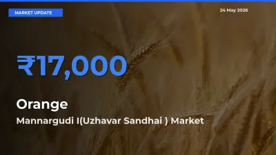 Mannargudi I(Uzhavar Sandhai ) Tops Orange Rates – May 24 Market Update
