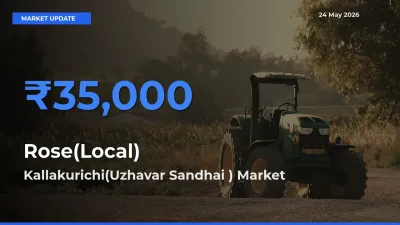Kallakurichi(Uzhavar Sandhai ) Tops Rose(Local) Mandi Rates Today