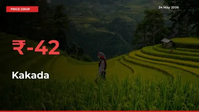 Kakada Prices Drop 41.79% – May 24 Market Update from Mandis