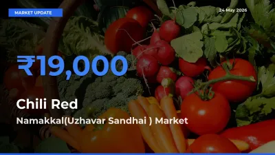 Namakkal(Uzhavar Sandhai ) Tops Chili Red Mandi Rates Today