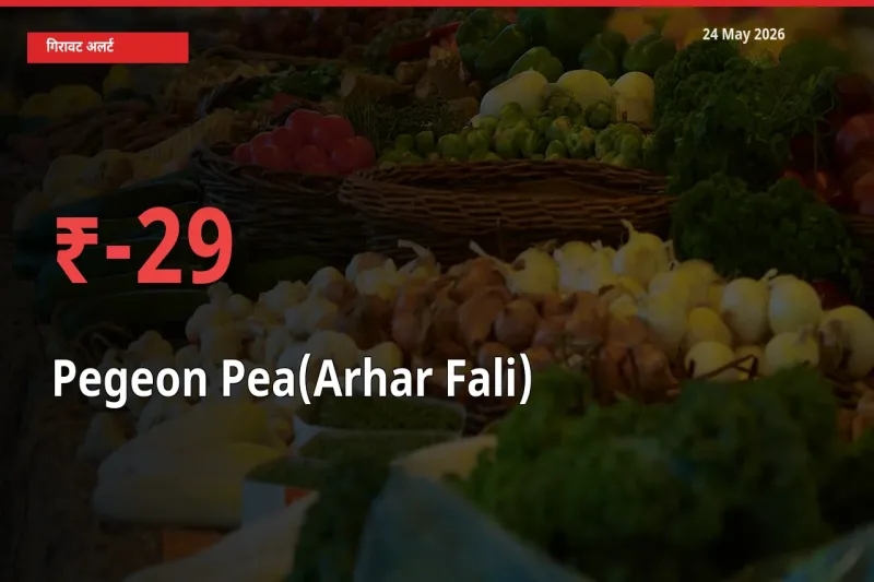 अरहर फली 29.47% गिरा, मंडी