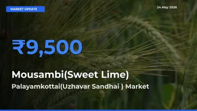 Palayamkottai(Uzhavar Sandhai ) Tops Mousambi(Sweet Lime) Mandi Rates Today