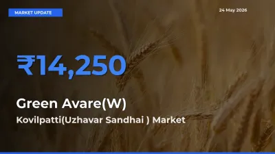 Kovilpatti(Uzhavar Sandhai ) Tops Green Avare(W) Rates – May 24 Market Update