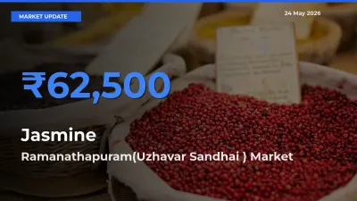 Ramanathapuram(Uzhavar Sandhai ) Tops Jasmine Mandi Rates Today