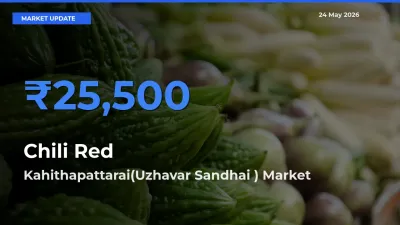 Kahithapattarai(Uzhavar Sandhai ) Offers ₹25,500 – Highest Chili Red Rate Today