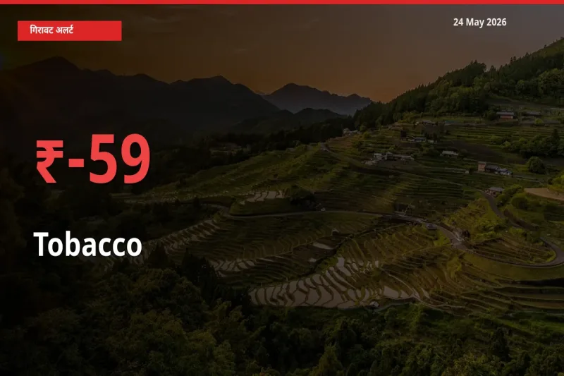 तंबाकू 59.35% गिरा, मंडी