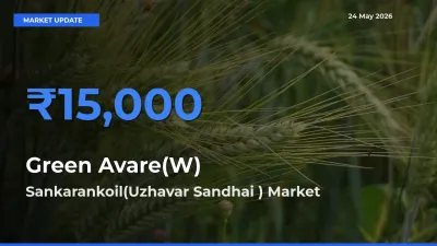 Market Watch: Sankarankoil(Uzhavar Sandhai ) Becomes Top Mandi for Green Avare(W)