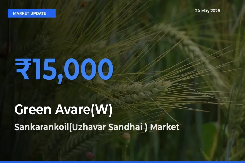 Market Watch: Sankarankoil(Uzhavar Sandhai ) Becomes Top Mandi for Green Avare(W)