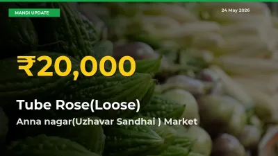Big Jump in Tube Rose(Loose) Prices! Anna nagar(Uzhavar Sandhai ) Records New Peak Today