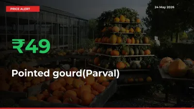 Pointed gourd(Parval) Mandi Rate Today: Prices Jump 49.38% at Market