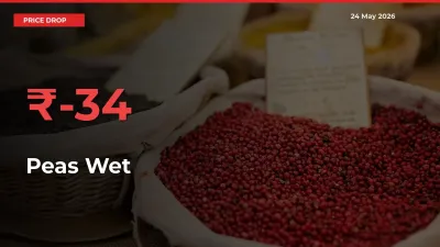 This Mandi Records 34.08% Fall in Peas Wet Prices