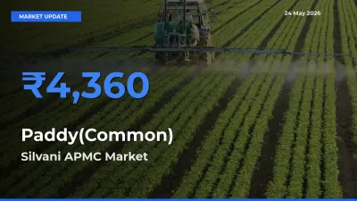 Farmers Prefer Silvani APMC as Paddy(Common) Hits Highest Rate