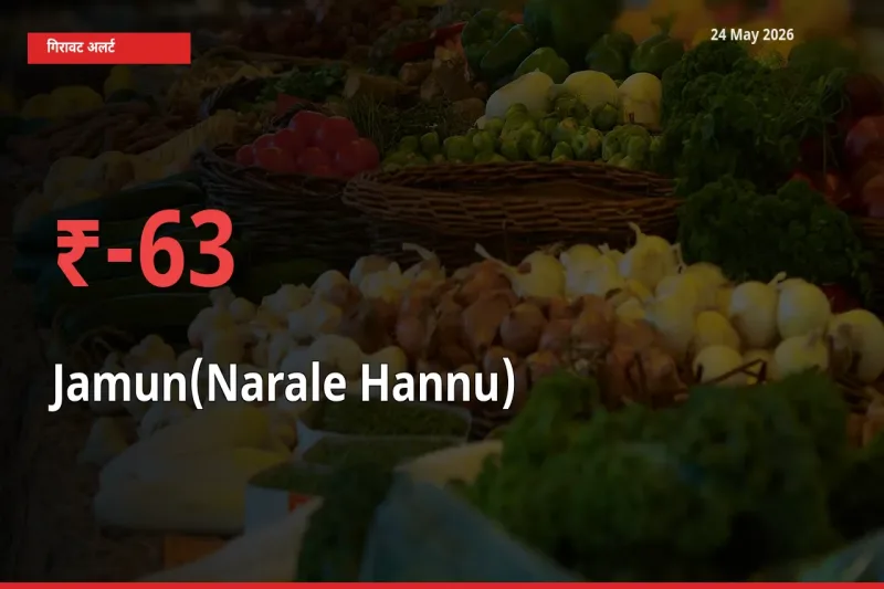 किसानों की चिंता बढ़ी! स्थानीय मंडी में जामुन (नाराले हन्नू) 63.35% गिरा