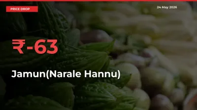 Jamun(Narale Hannu) Mandi Rate Today: Prices Fall 63.35% at Market
