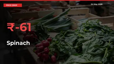 Sudden Shock! Spinach Drops 60.57% in 24 Hours at Top Mandis