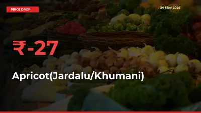 Sudden Shock! Apricot(Jardalu/Khumani) Drops 26.72% in 24 Hours at Top Mandis