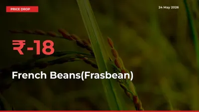 French Beans(Frasbean) Falls 18.39% at Mandis