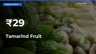 Multi-Mandi Trend Emerges as Tamarind Fruit Prices Shift Across Key Markets