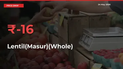 This Mandi Records 16.46% Fall in Lentil(Masur)(Whole) Prices