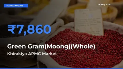 Khirakiya APMC Emerges as Top Mandi for Green Gram(Moong)(Whole) Prices Today
