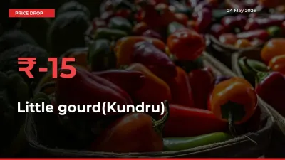 Sudden Shock! Little gourd(Kundru) Drops 15.32% in 24 Hours at Top Mandis