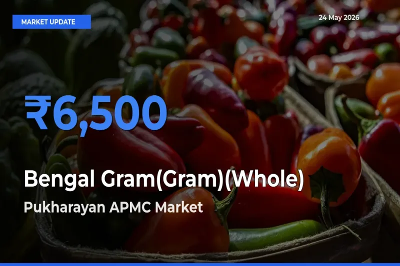 Top Performer! Pukharayan APMC Offers Best Bengal Gram(Gram)(Whole) Price Today