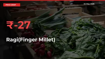 Farmers Alert as Ragi(Finger Millet) Prices Slide 26.63% in Local Mandis