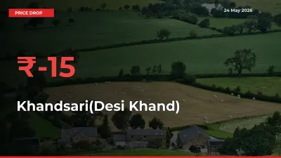 Farmers Alert as Khandsari(Desi Khand) Prices Slide 15.01% in Local Mandis