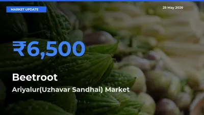 Beetroot Mandi Rate Today: Ariyalur(Uzhavar Sandhai) Tops the List