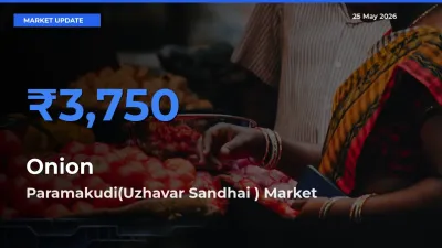 Paramakudi(Uzhavar Sandhai ) Tops Onion Rates – May 25 Market Update