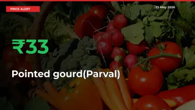 Sharp Jump! Pointed gourd(Parval) Prices Climb 32.97% in 24 Hours at Key Mandis
