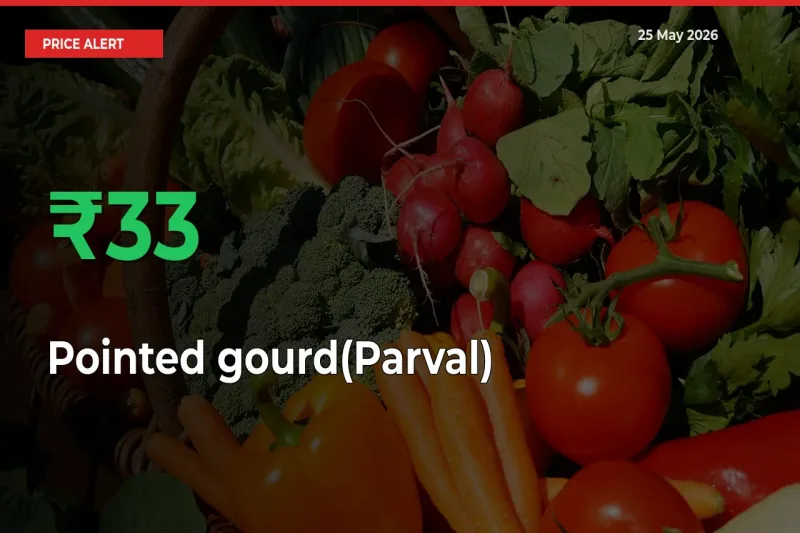 Sharp Jump! Pointed gourd(Parval) Prices Climb 32.97% in 24 Hours at Key Mandis