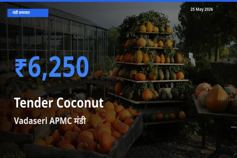 Vadaseri APMC मंडी में कच्चा नारियल ₹6,250 पर पहुँचा – आज का सर्वोच्च भाव