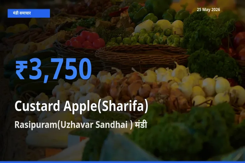 Rasipuram(Uzhavar Sandhai ) मंडी में शरीफा ₹3,750 पर पहुँचा – आज का सर्वोच्च भाव