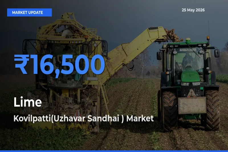 Kovilpatti(Uzhavar Sandhai ) Offers ₹16,500 – Highest Lime Rate Today