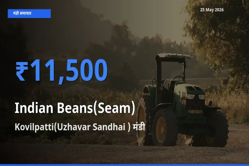किसानों की पसंद बना Kovilpatti(Uzhavar Sandhai ), सेम (देशी) के सबसे अच्छे दाम