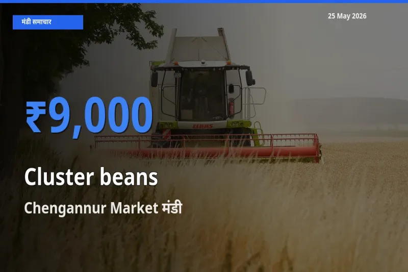 Chengannur Market मंडी में ग्वार फली ₹9,000 पर पहुँचा – आज का सर्वोच्च भाव