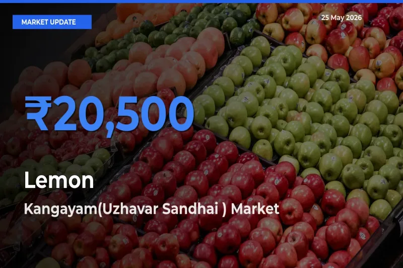 Market Watch: Kangayam(Uzhavar Sandhai ) Becomes Top Mandi for Lemon