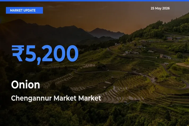 Chengannur Market Tops Onion Rates – May 25 Market Update