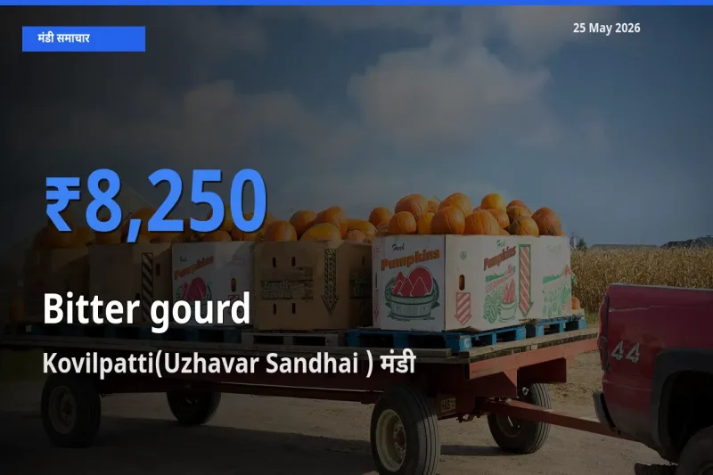 Kovilpatti(Uzhavar Sandhai ) मंडी में करेला ₹8,250 पर पहुँचा – आज का सर्वोच्च भाव