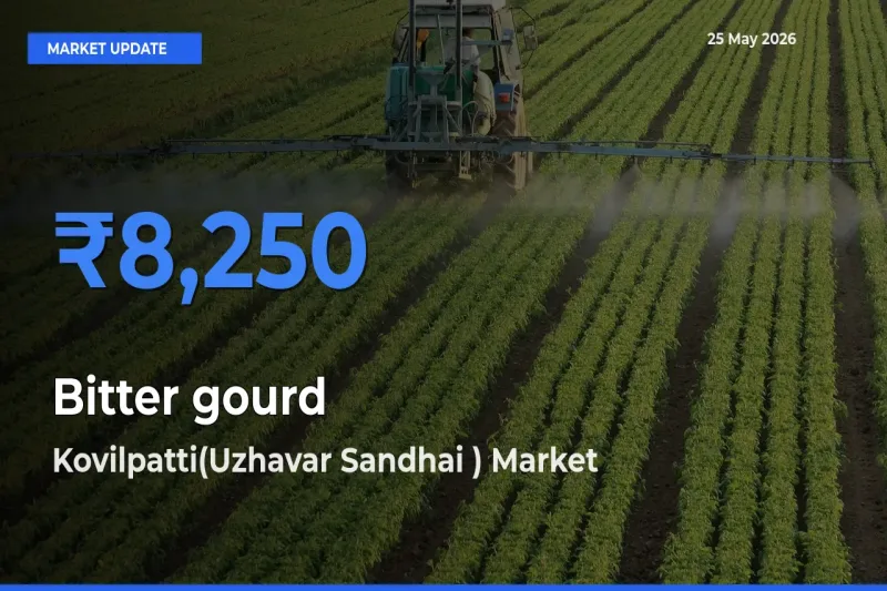 Bitter gourd Mandi Rate Today: Kovilpatti(Uzhavar Sandhai ) Tops the List
