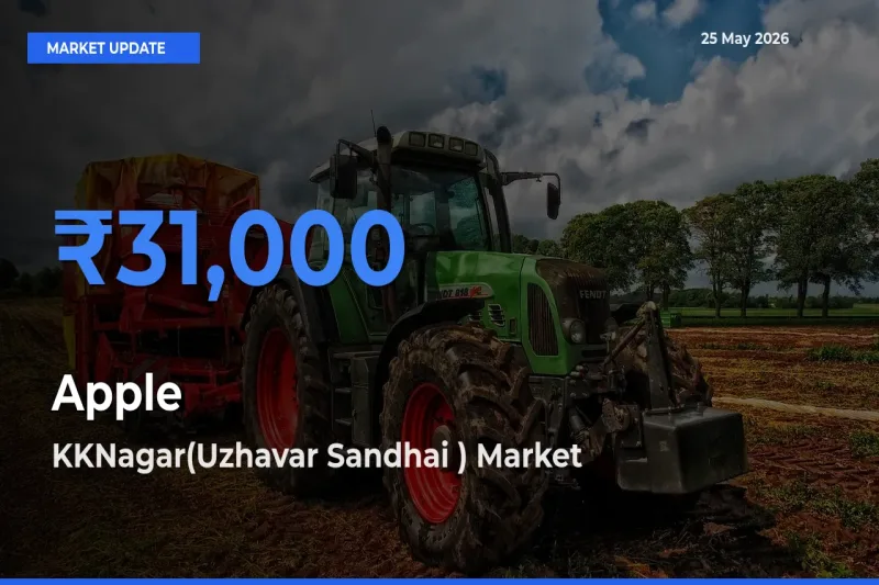 KKNagar(Uzhavar Sandhai ) Leads as Top Mandi for Apple Prices