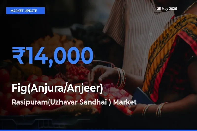Fig(Anjura/Anjeer) Mandi Rate Today: Rasipuram(Uzhavar Sandhai ) Tops the List
