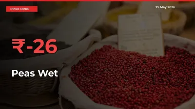 Peas Wet Mandi Rate Today: Prices Fall 26.43% at Market