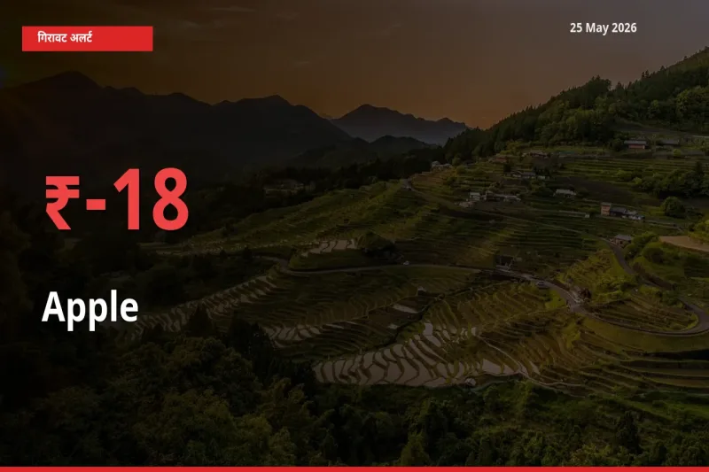 25 May अपडेट: सेब के दाम मंडी में 18.27% गिरे